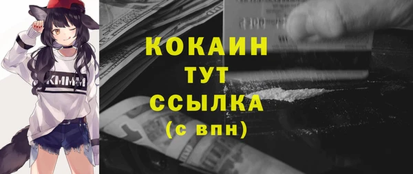 дмт Осташков