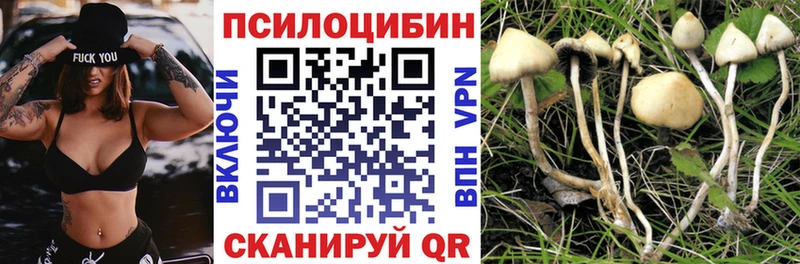 Галлюциногенные грибы MAGIC MUSHROOMS  Моздок 